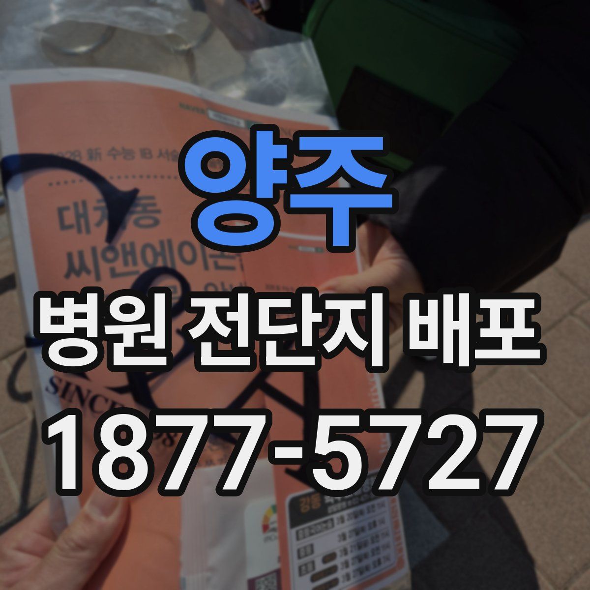 양주 병원 전단지 배포