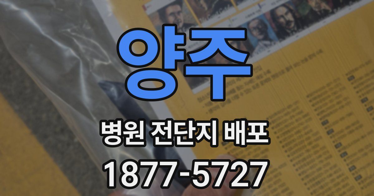 양주 병원 전단지 배포