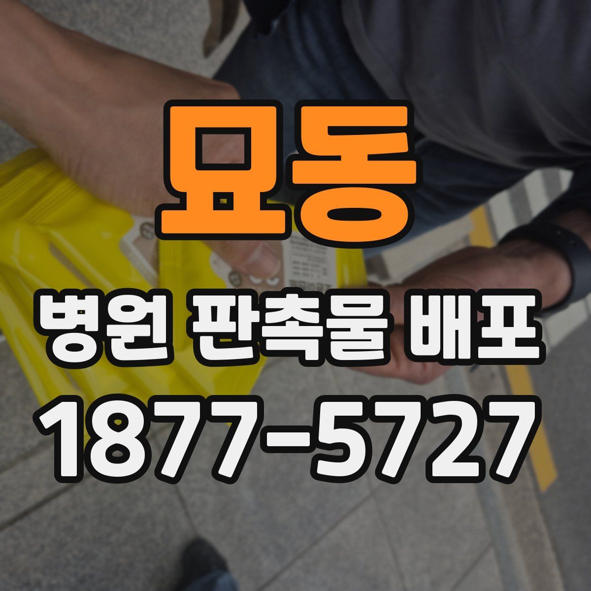묘동 병원 판촉물 배포