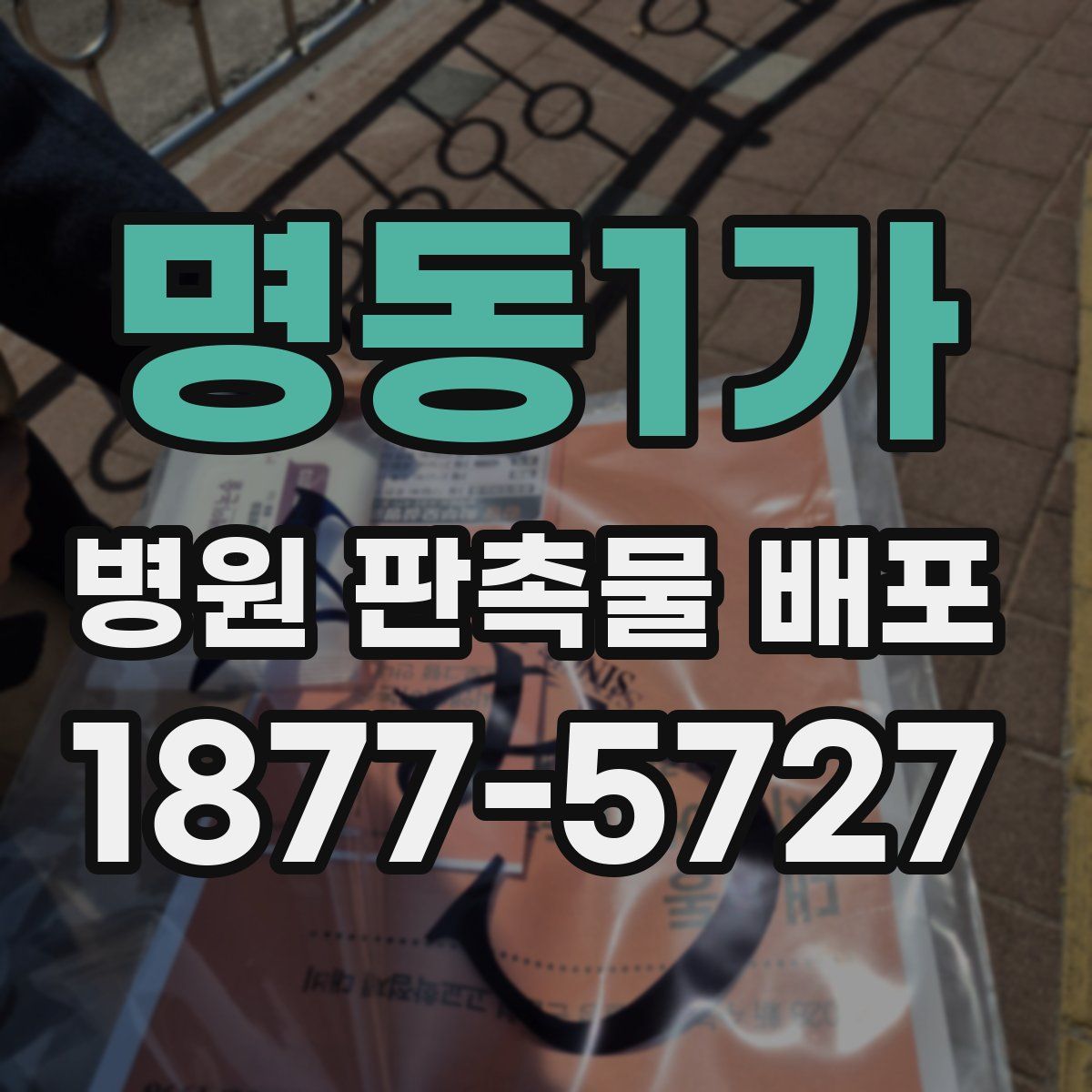 명동1가 병원 판촉물 배포