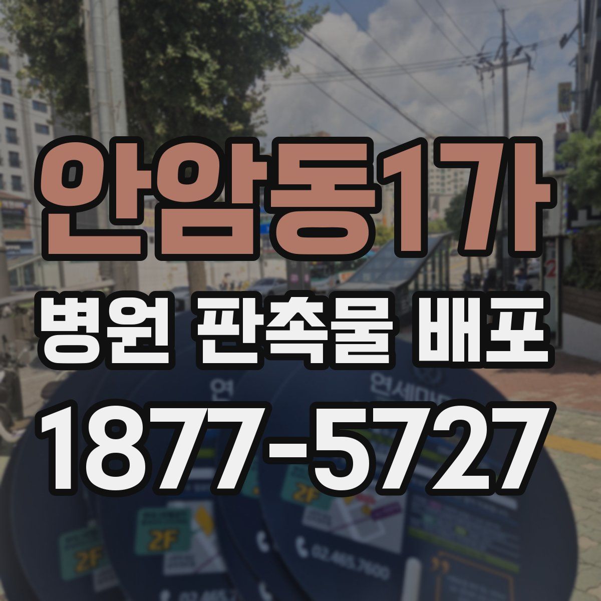 안암동1가 병원 판촉물 배포