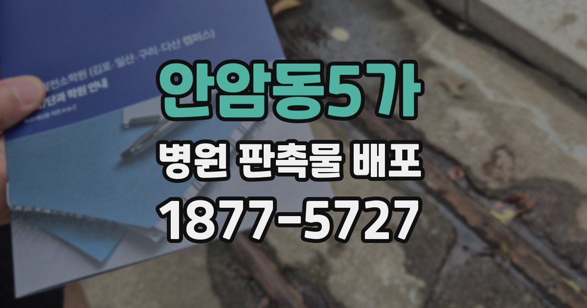 안암동5가 병원 판촉물 배포
