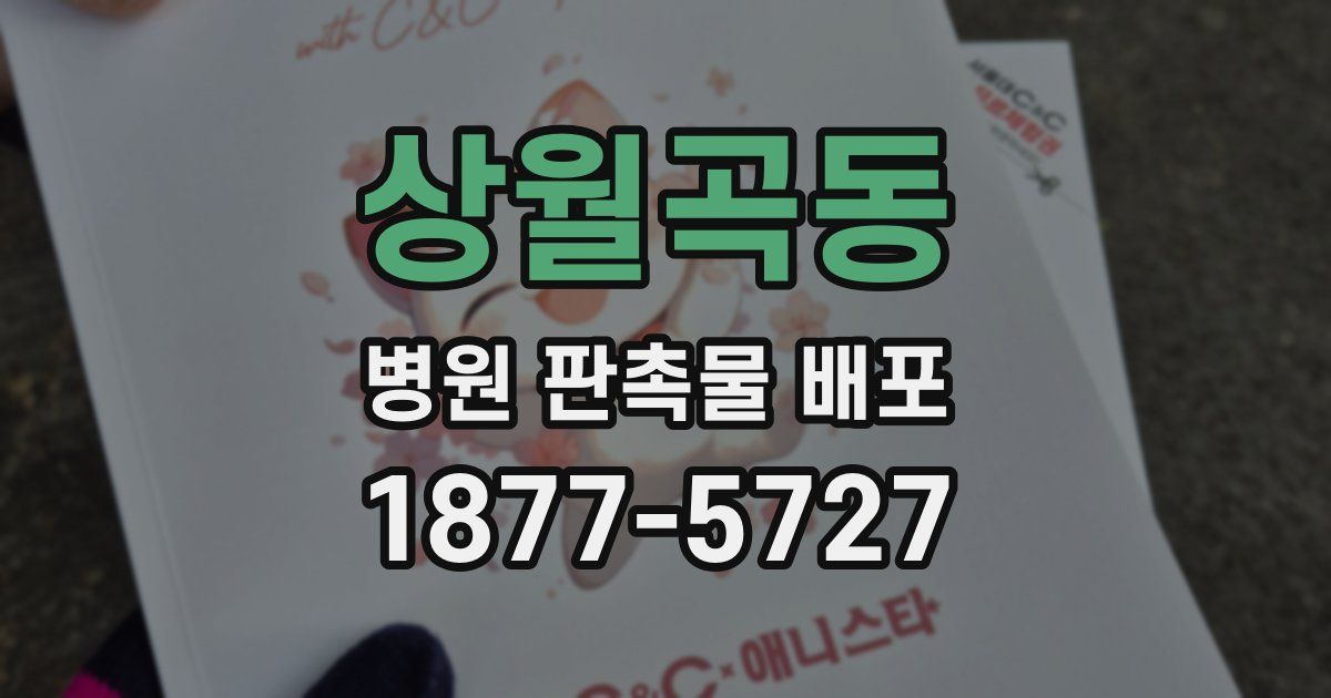 상월곡동 병원 판촉물 배포