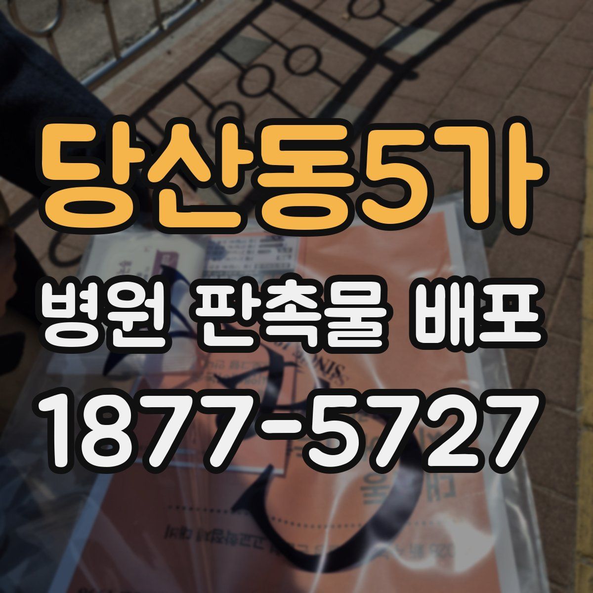 당산동5가 병원 판촉물 배포