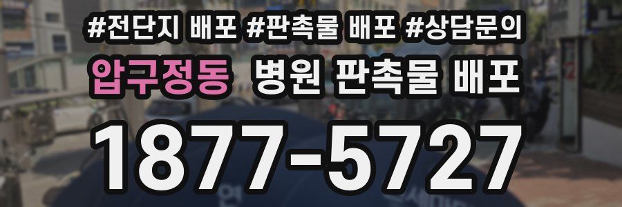 압구정동 병원 판촉물 배포