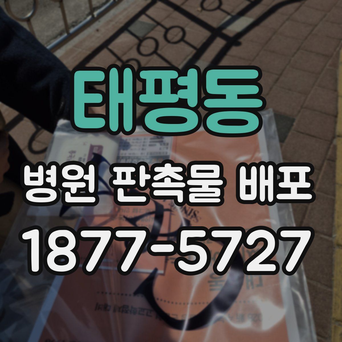 태평동 병원 판촉물 배포