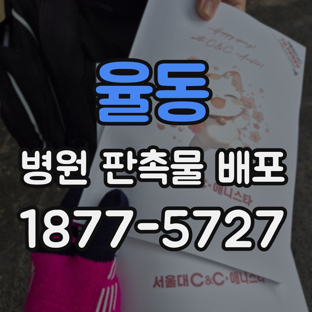 율동 병원 판촉물 배포