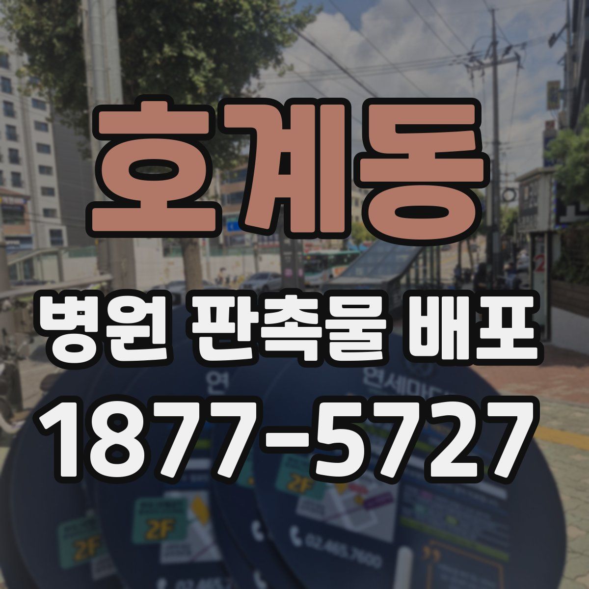 호계동 병원 판촉물 배포
