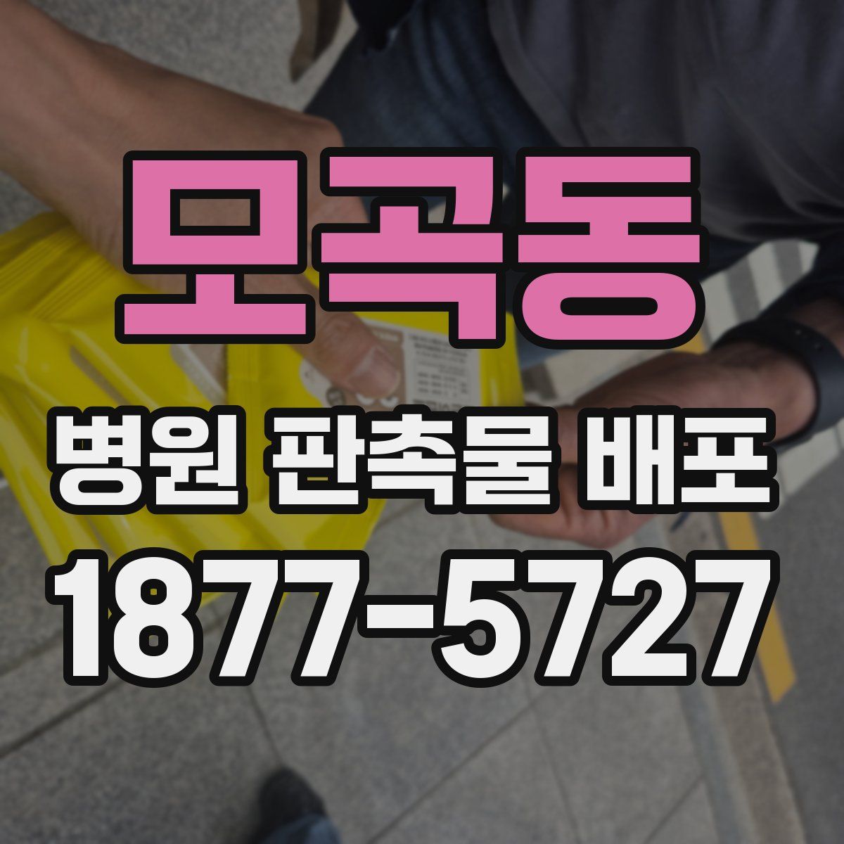 모곡동 병원 판촉물 배포