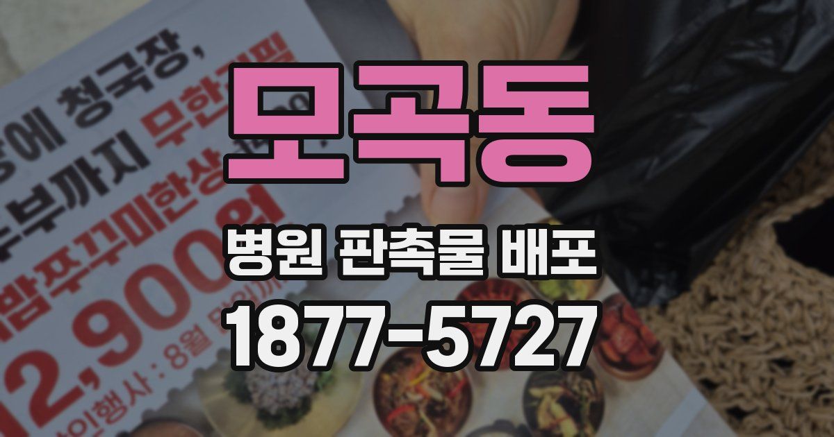 모곡동 병원 판촉물 배포