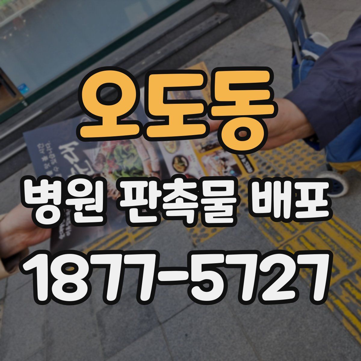 오도동 병원 판촉물 배포