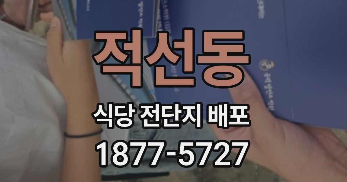 적선동 식당 전단지 배포