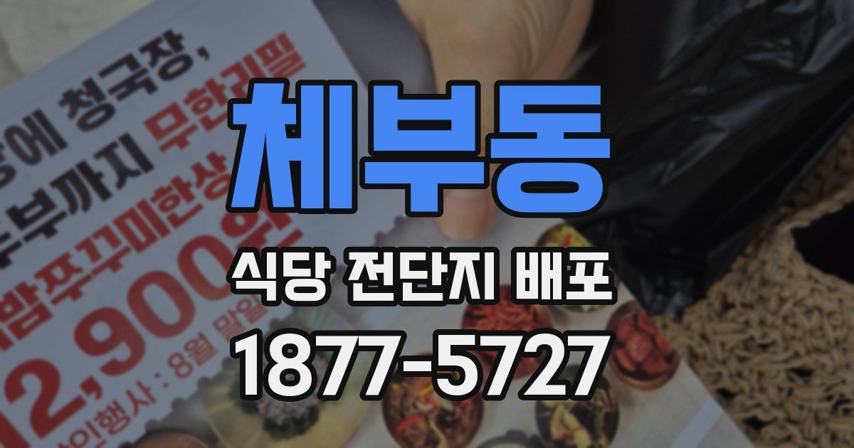 체부동 식당 전단지 배포
