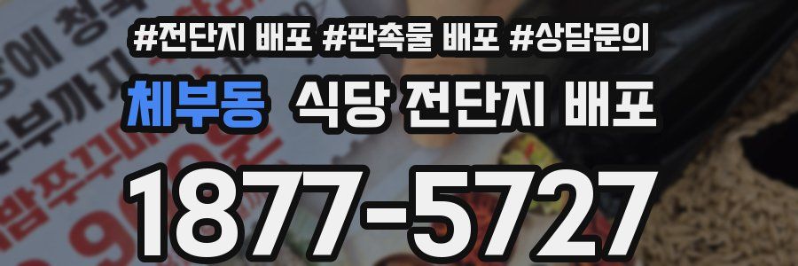 체부동 식당 전단지 배포