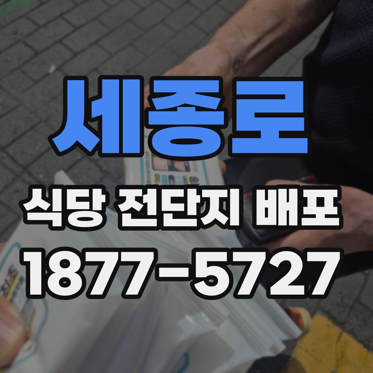 세종로 식당 전단지 배포