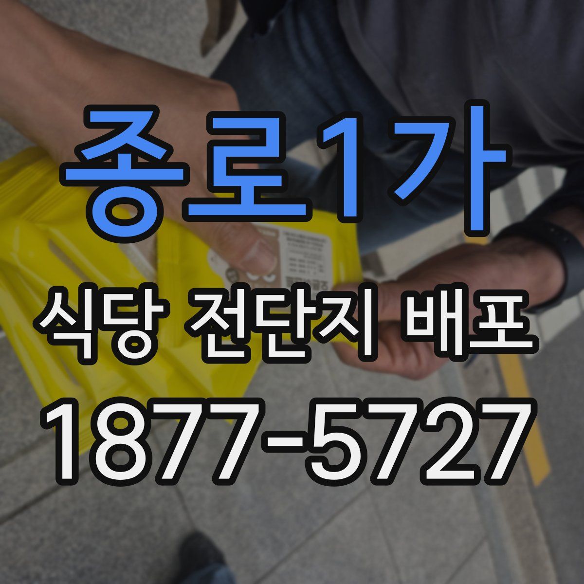 종로1가 식당 전단지 배포