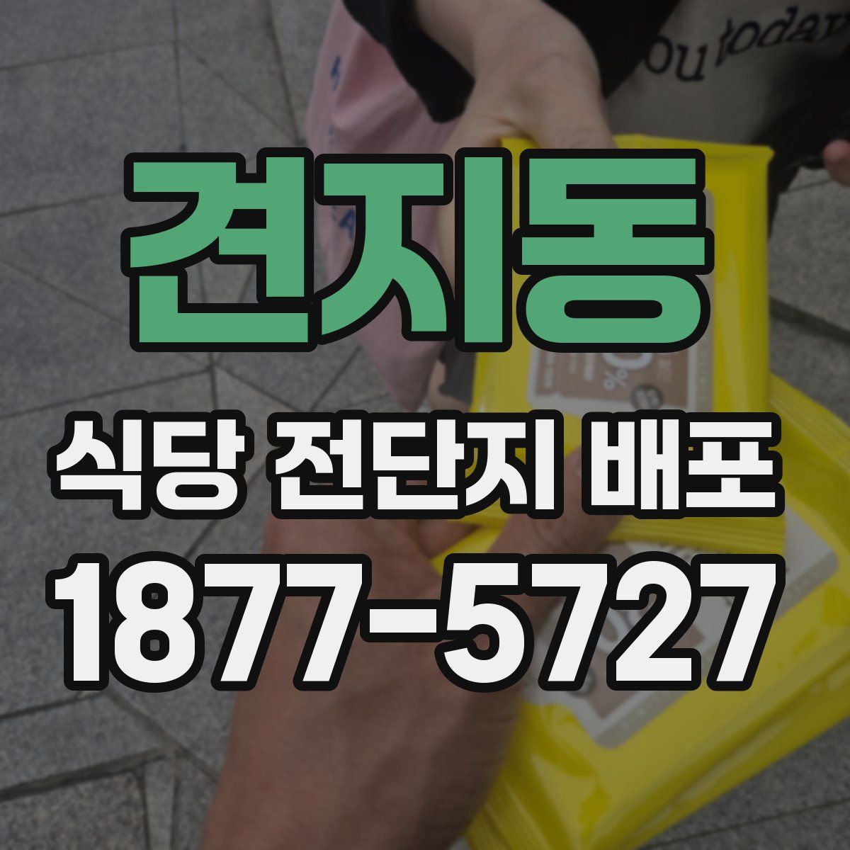 견지동 식당 전단지 배포