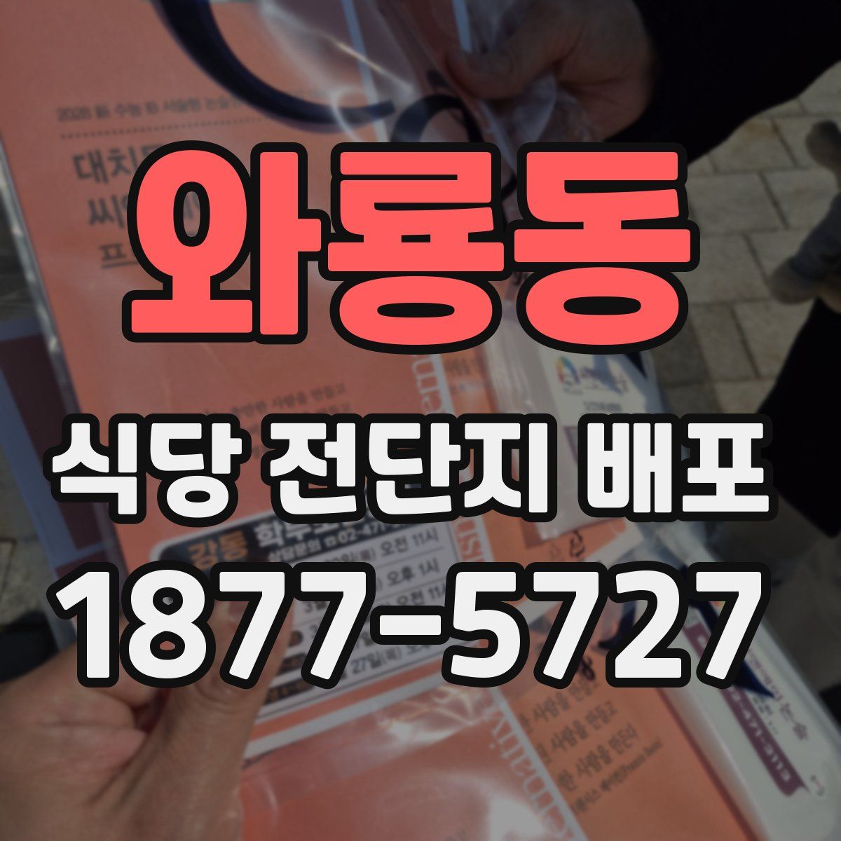 와룡동 식당 전단지 배포