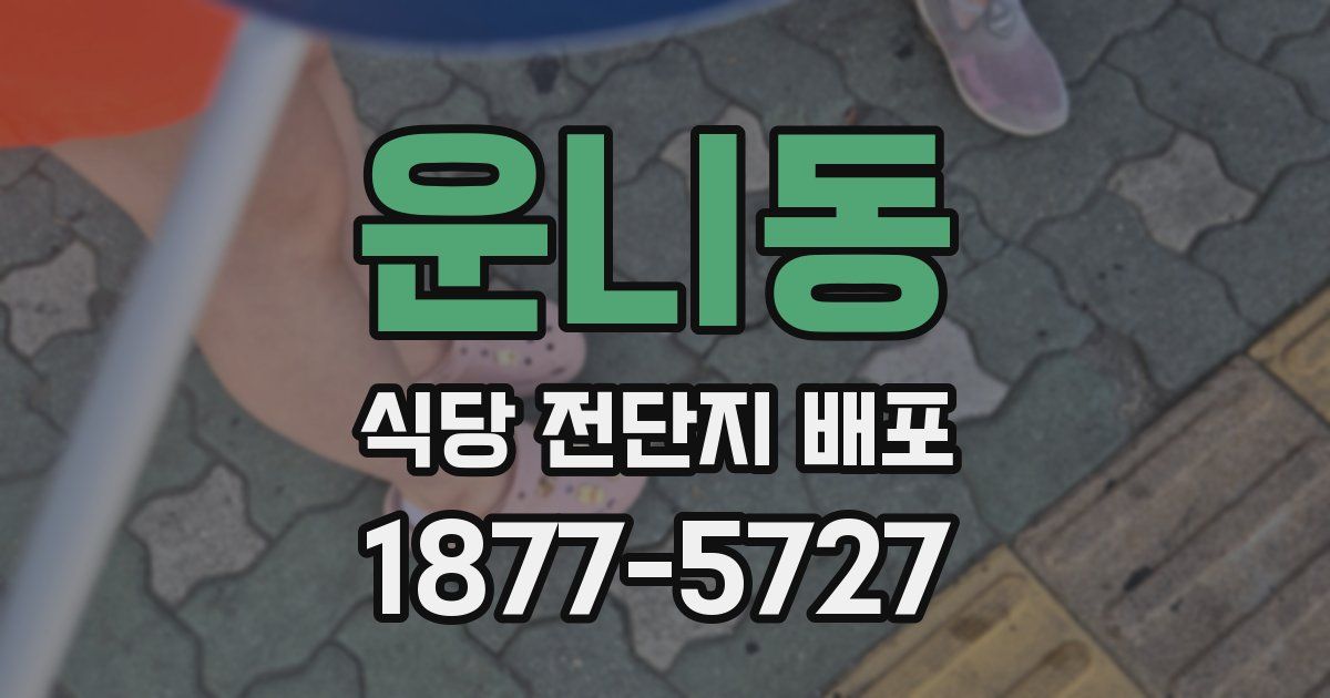 운니동 식당 전단지 배포