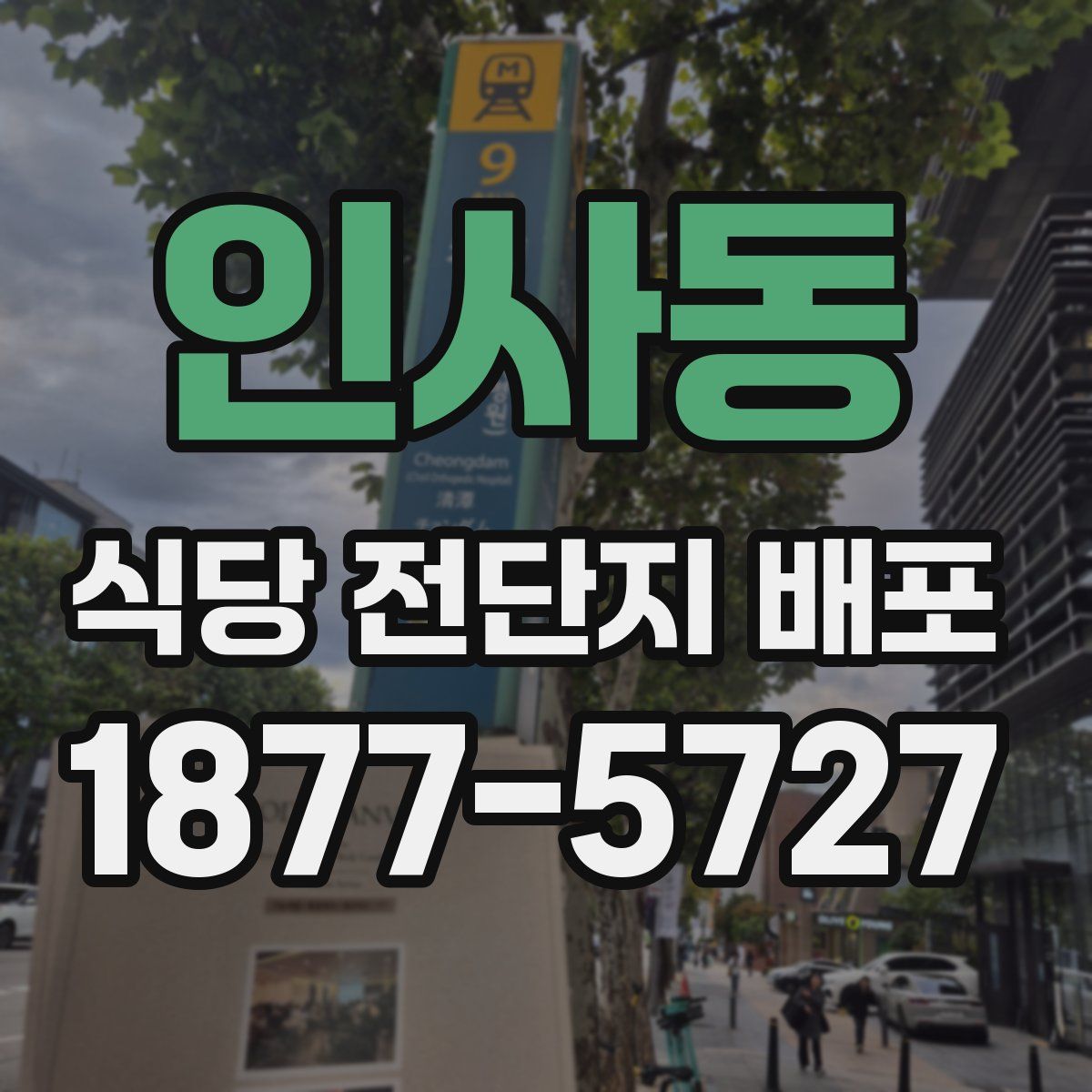 인사동 식당 전단지 배포