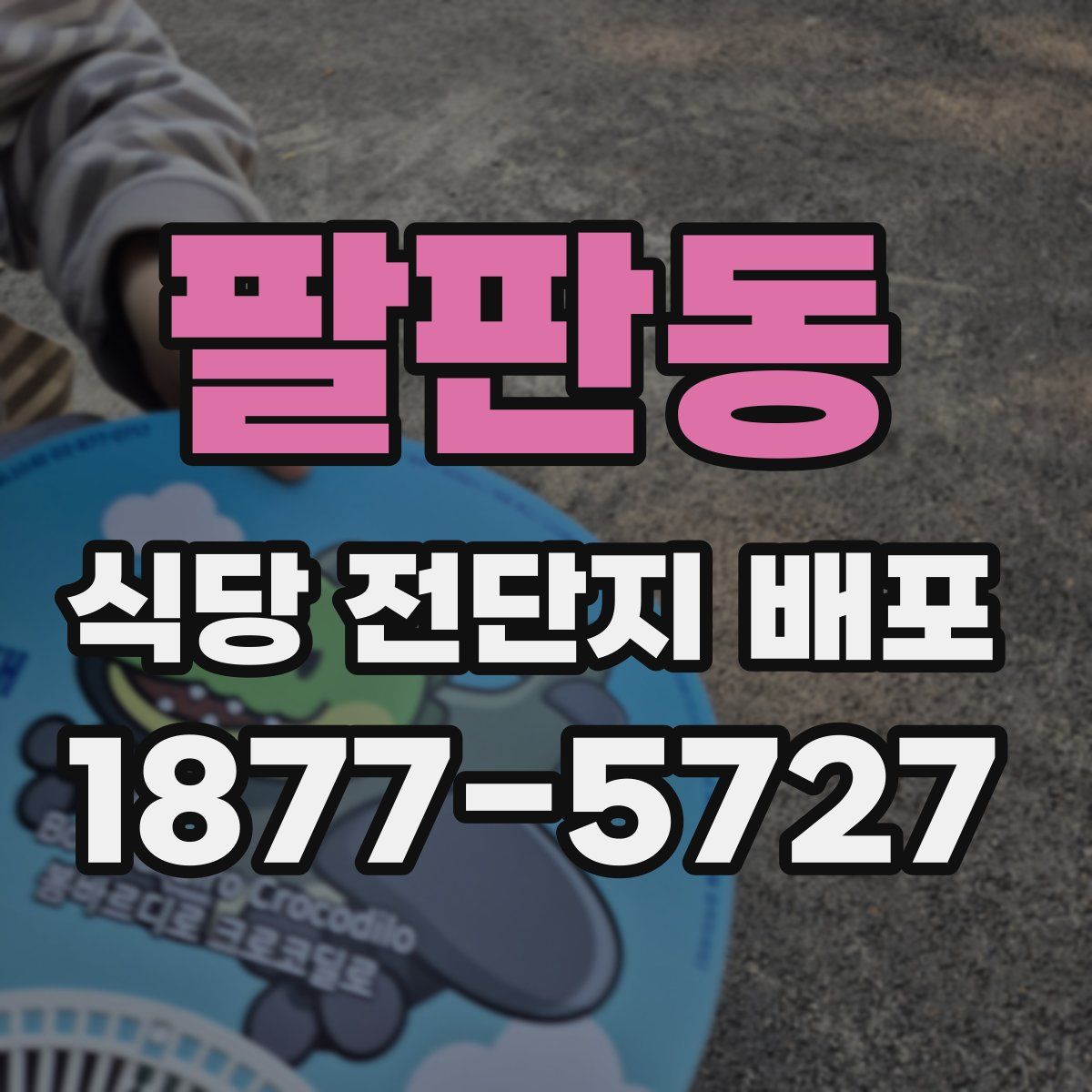 팔판동 식당 전단지 배포
