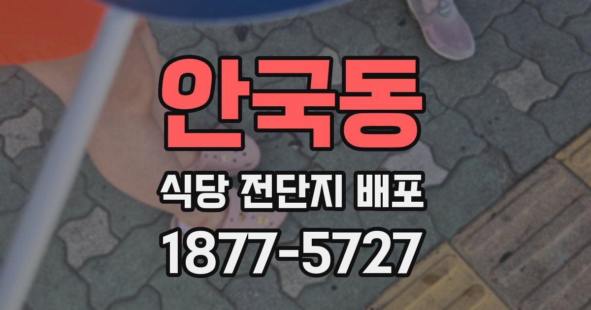 안국동 식당 전단지 배포
