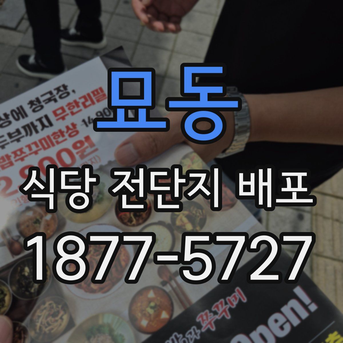 묘동 식당 전단지 배포