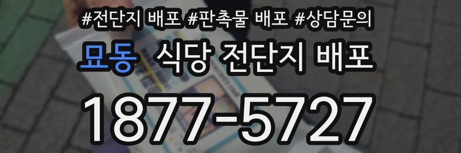 묘동 식당 전단지 배포