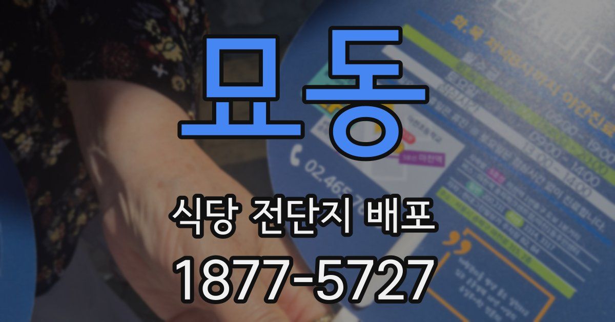 묘동 식당 전단지 배포