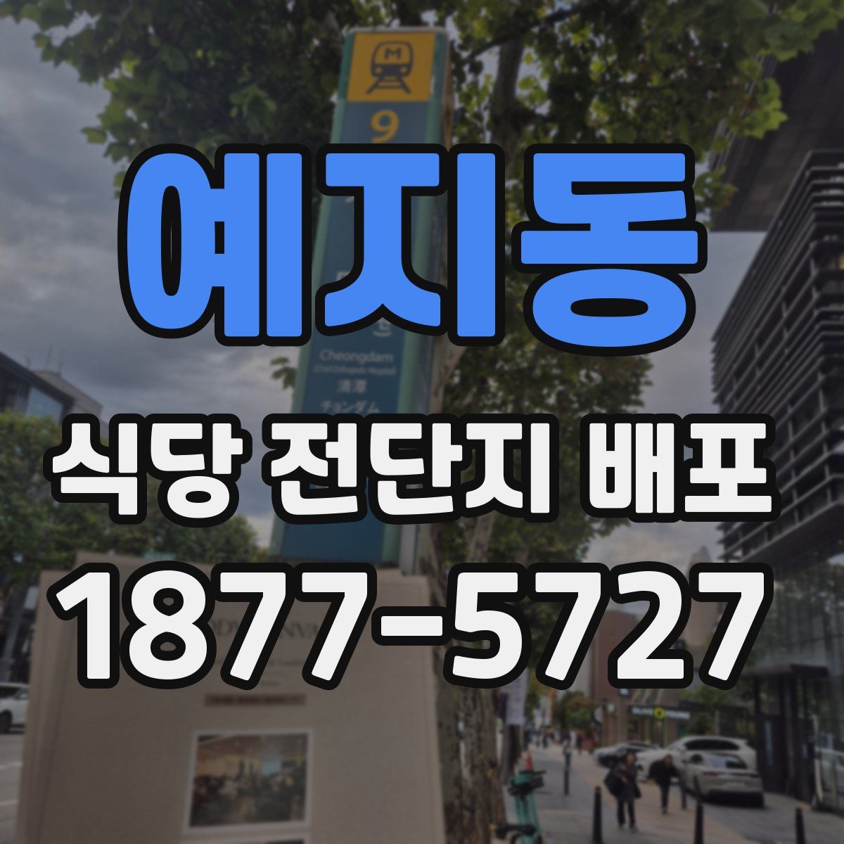 예지동 식당 전단지 배포