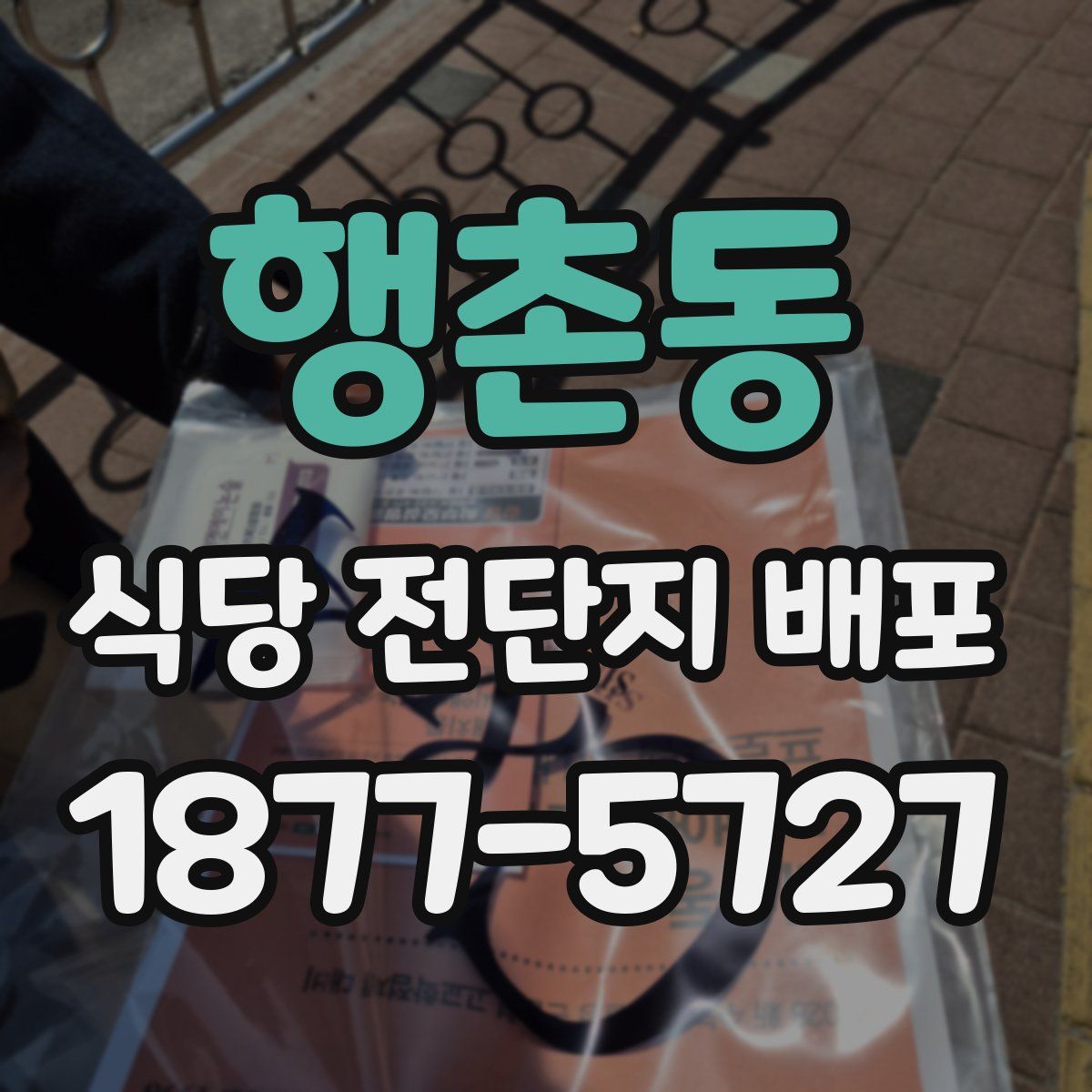 행촌동 식당 전단지 배포