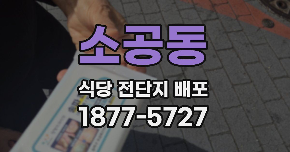 소공동 식당 전단지 배포