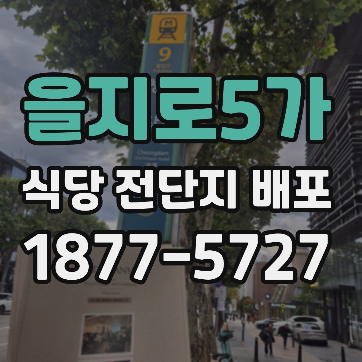 을지로5가 식당 전단지 배포