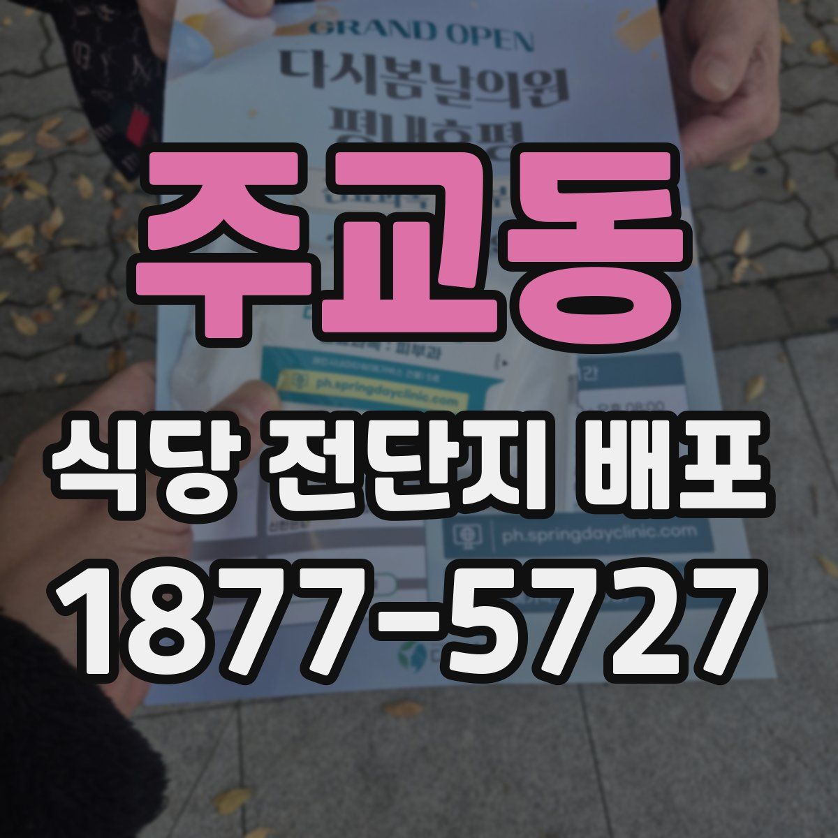 주교동 식당 전단지 배포