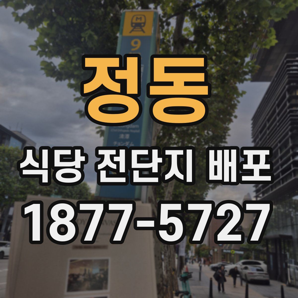 정동 식당 전단지 배포