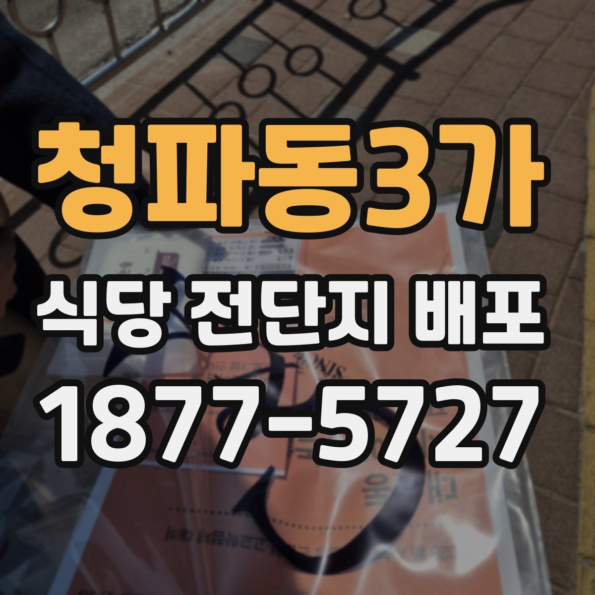 청파동3가 식당 전단지 배포