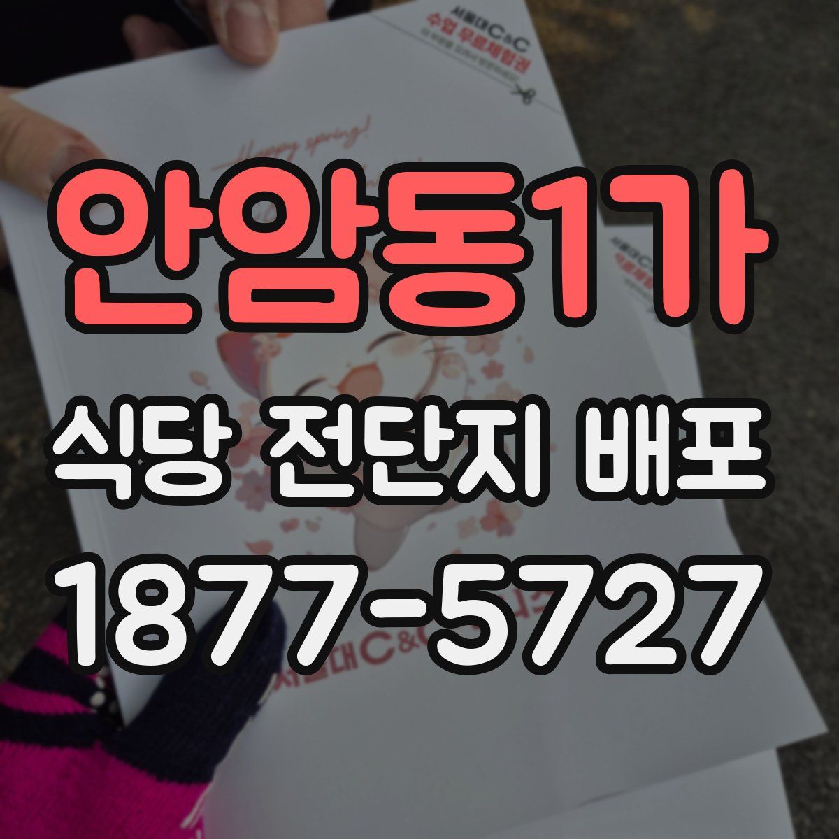 안암동1가 식당 전단지 배포