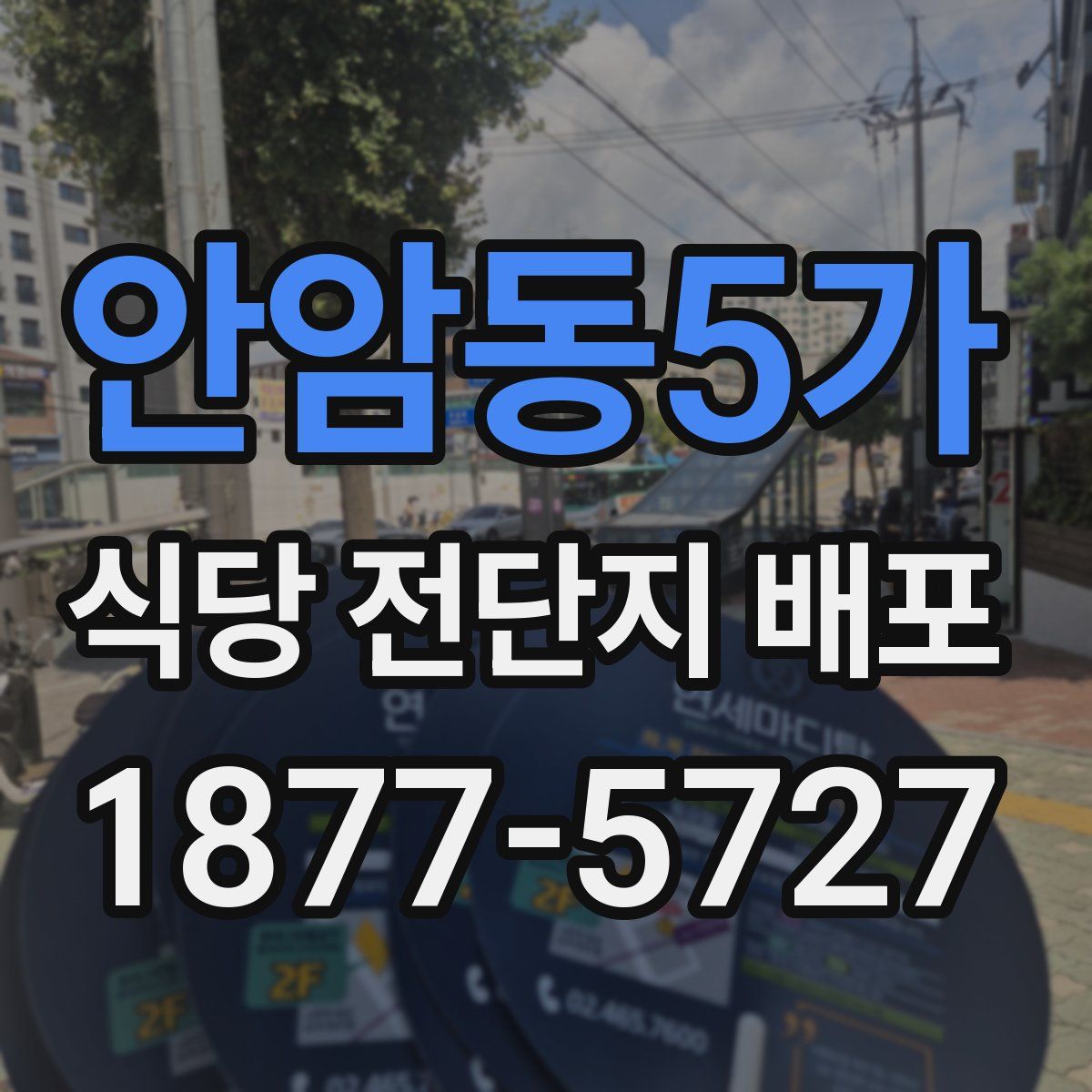 안암동5가 식당 전단지 배포