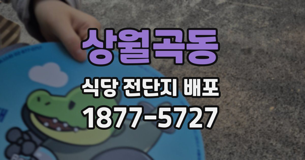 상월곡동 식당 전단지 배포