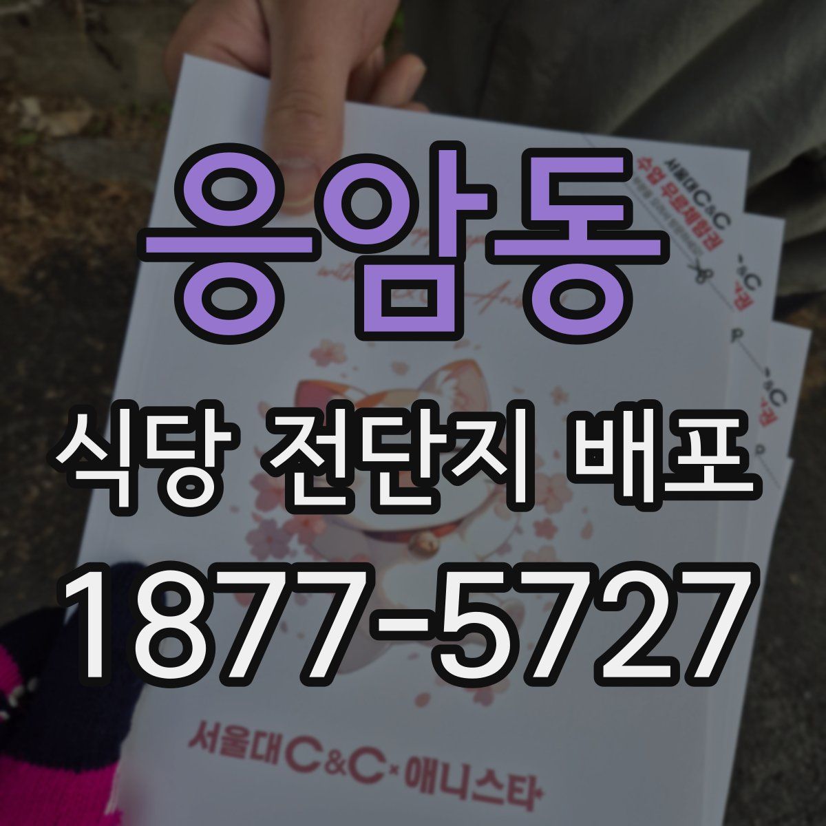 응암동 식당 전단지 배포
