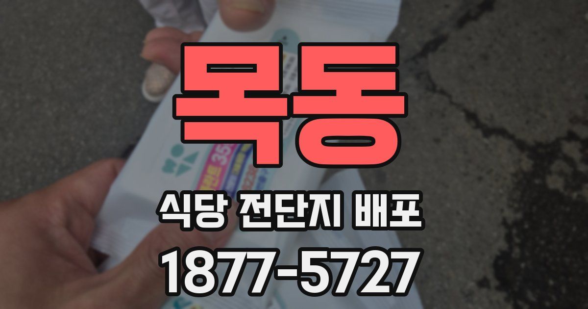 목동 식당 전단지 배포