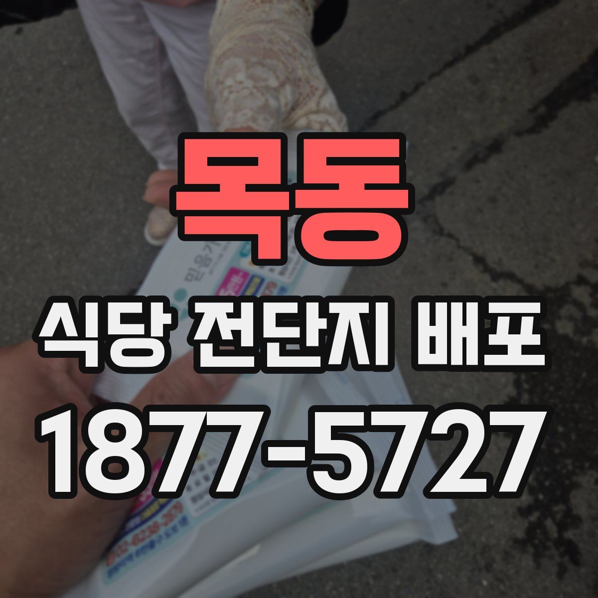 목동 식당 전단지 배포