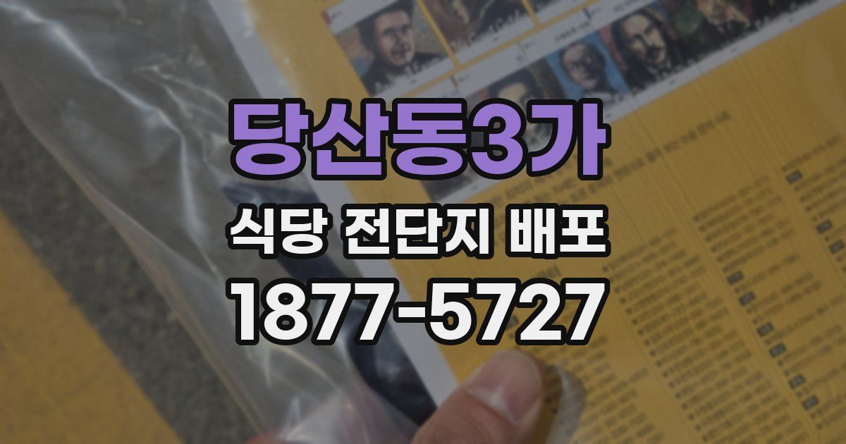 당산동3가 식당 전단지 배포