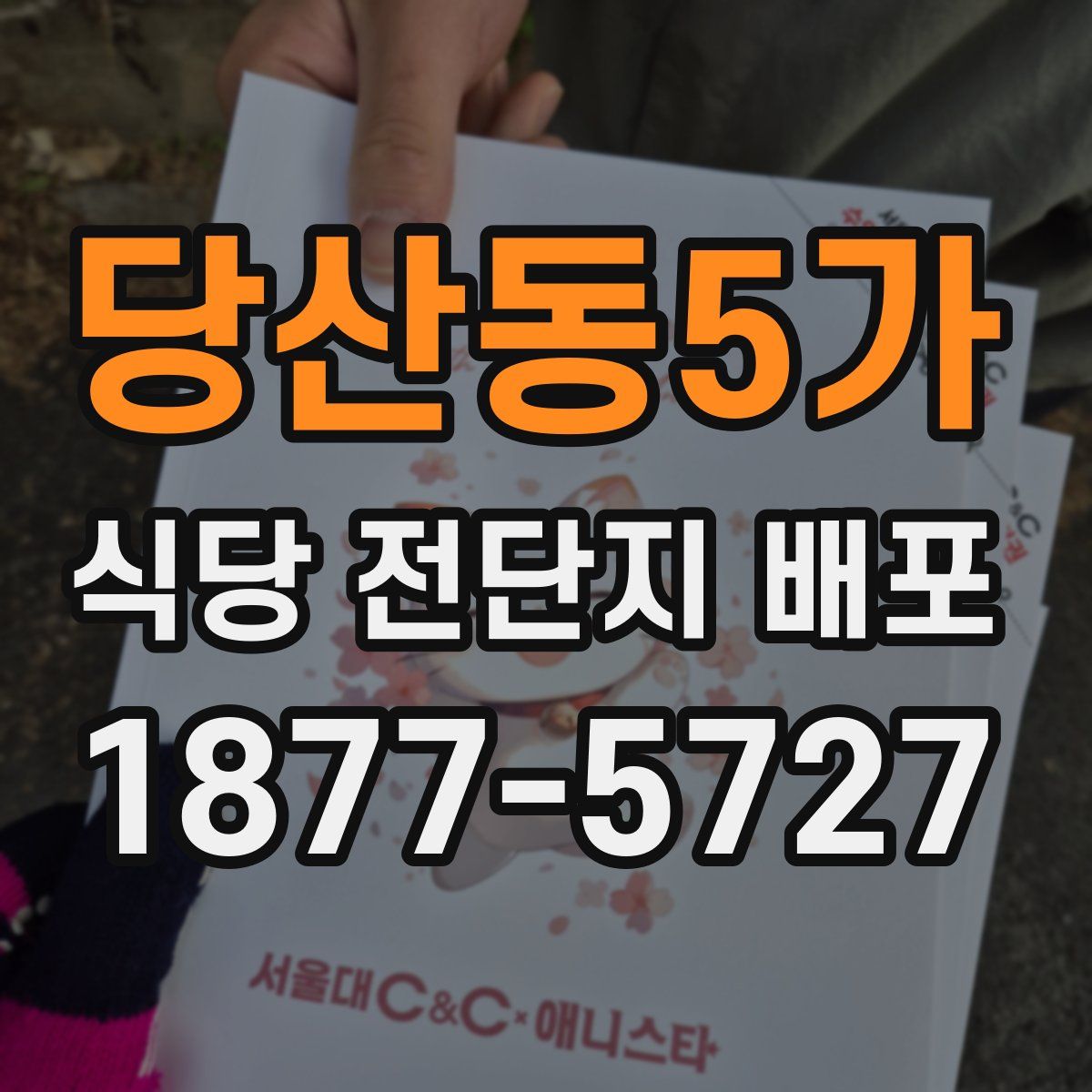 당산동5가 식당 전단지 배포