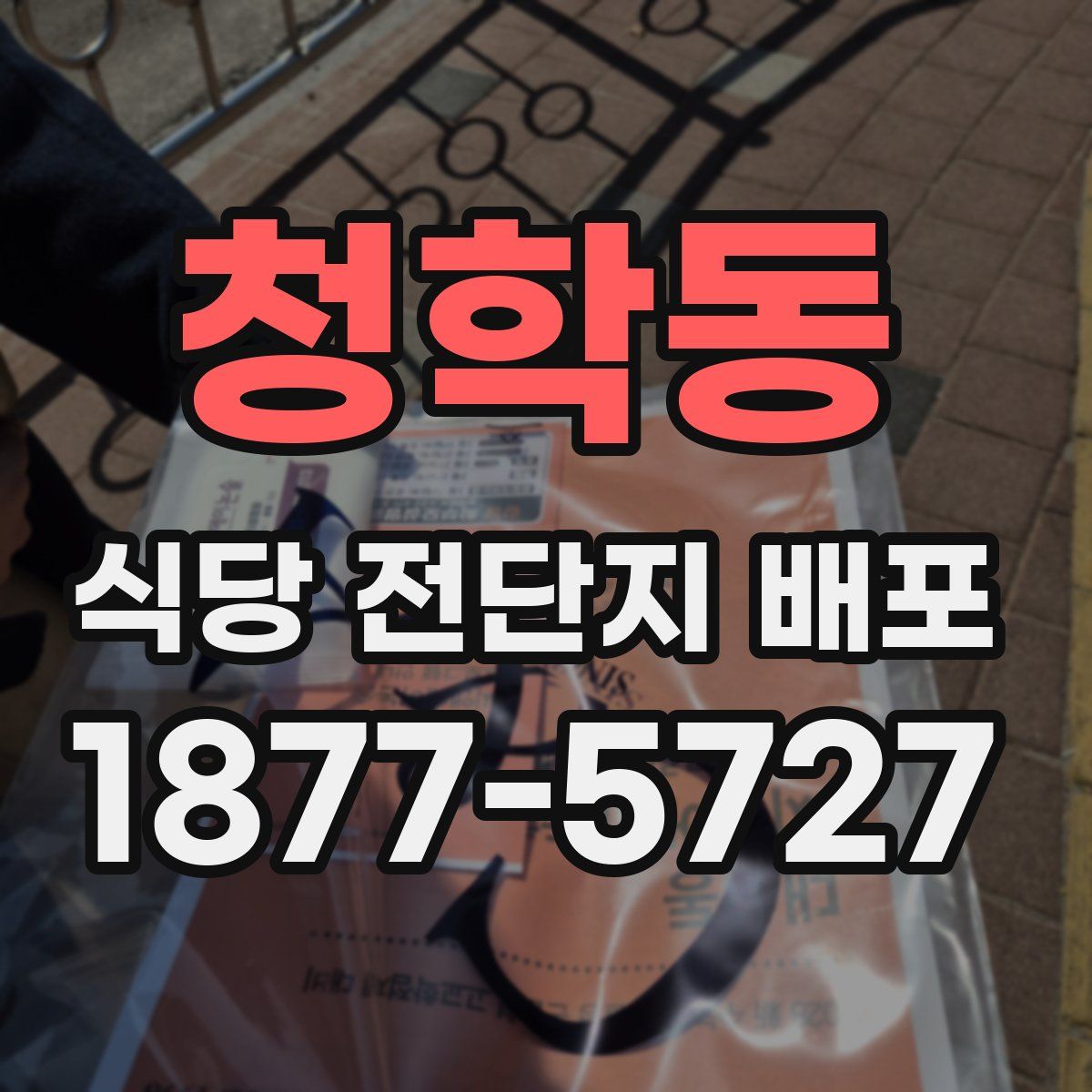 청학동 식당 전단지 배포