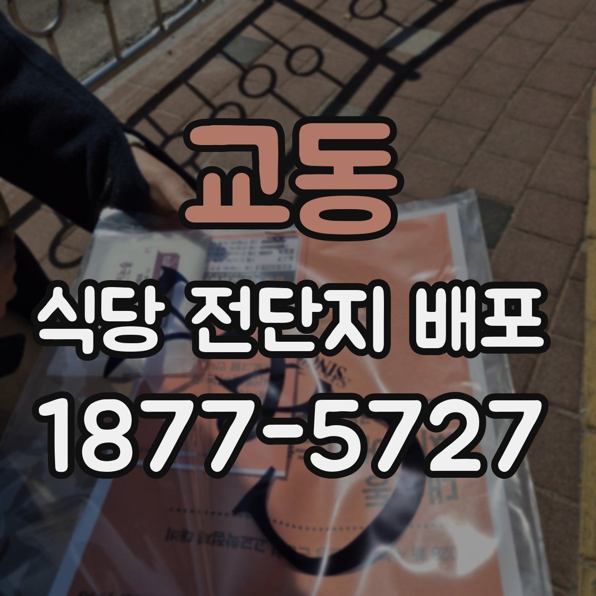 교동 식당 전단지 배포