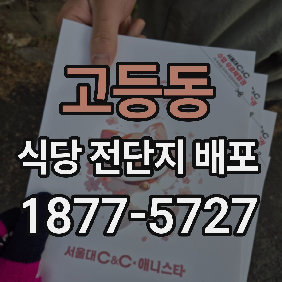 고등동 식당 전단지 배포