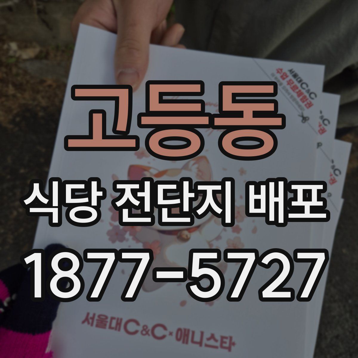 고등동 식당 전단지 배포