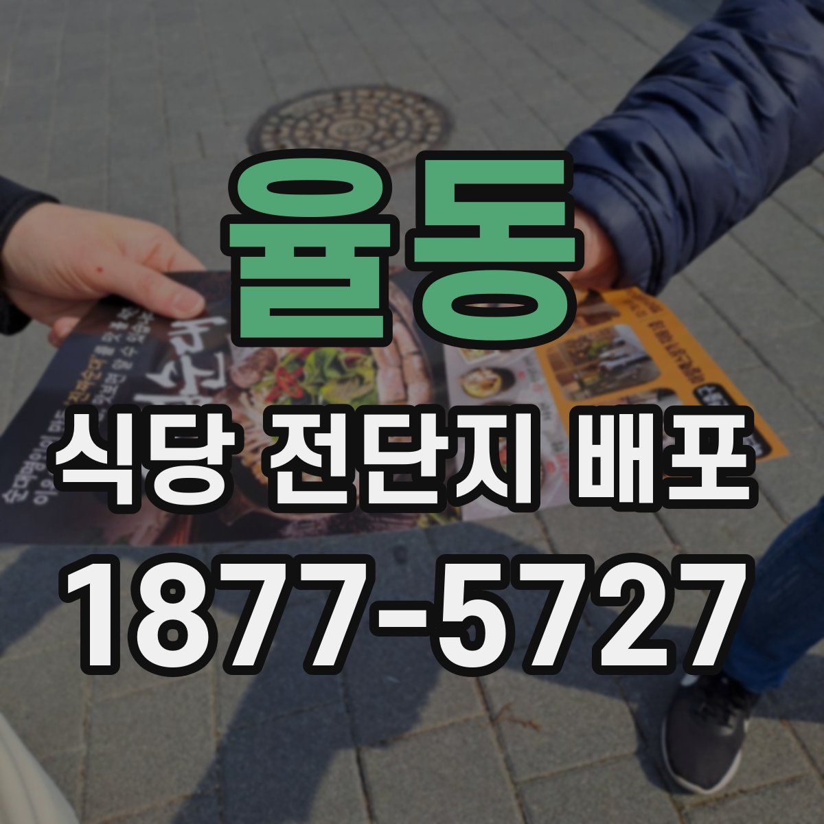 율동 식당 전단지 배포