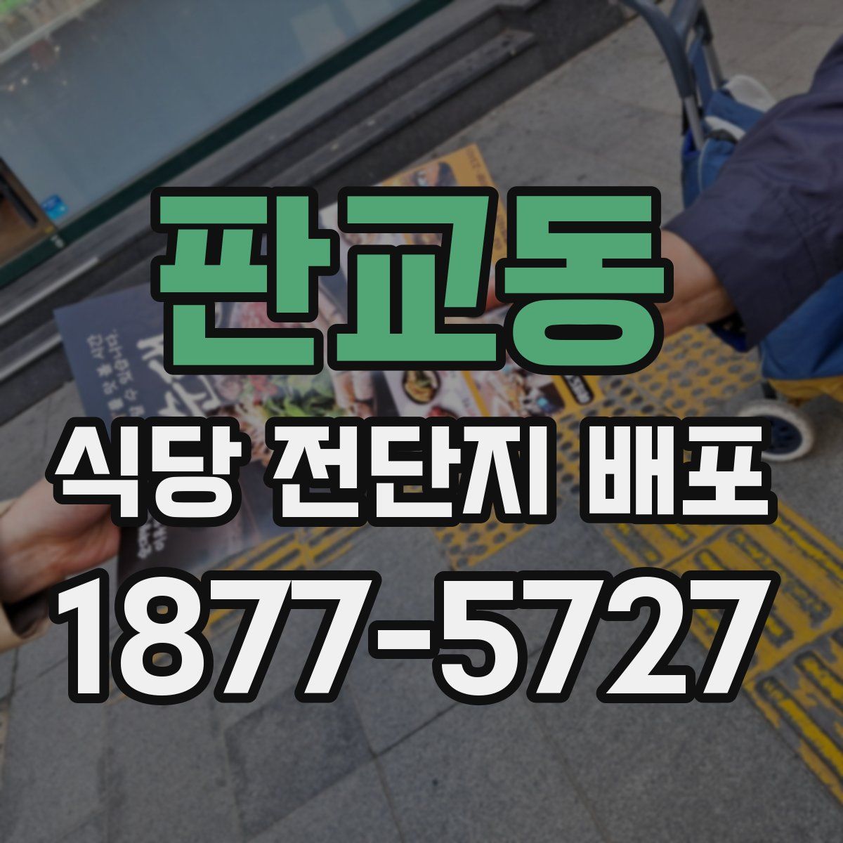 판교동 식당 전단지 배포